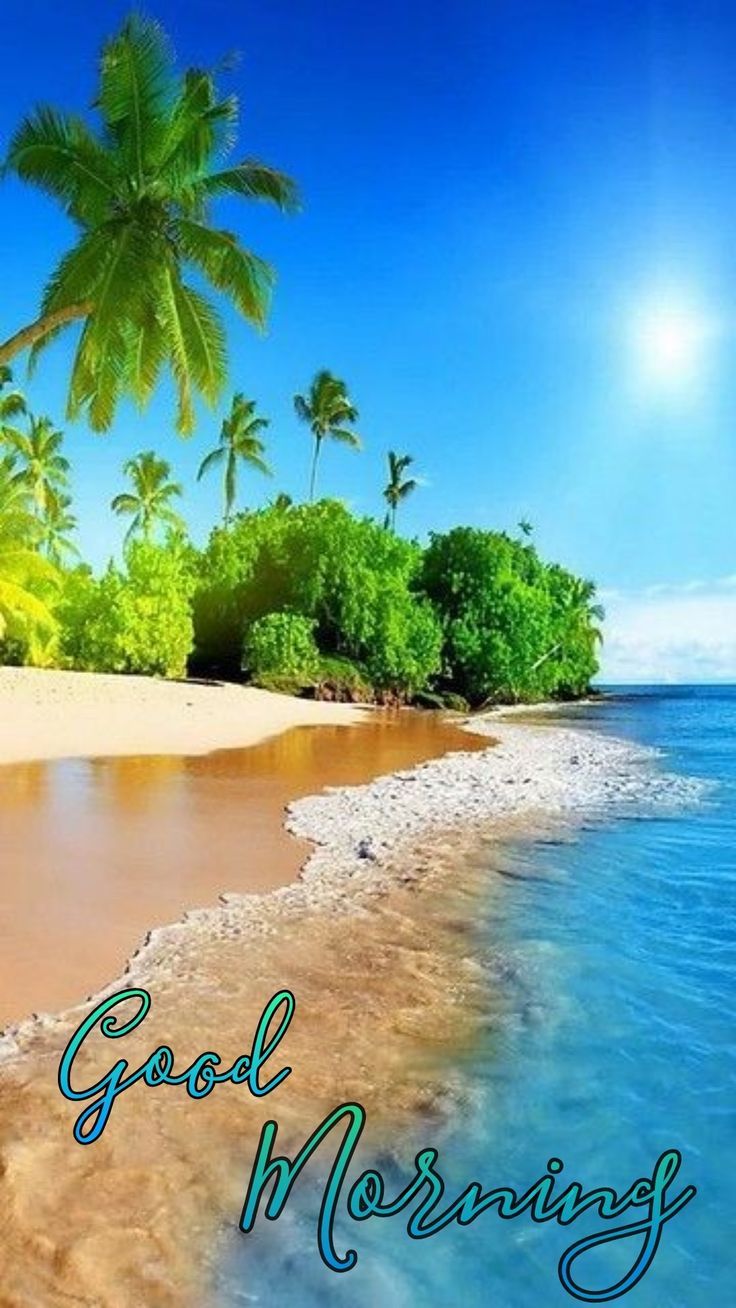 736x1308 Good Morning Beach with Palm Trees. Good morning island scene, Tropical beach with good morning