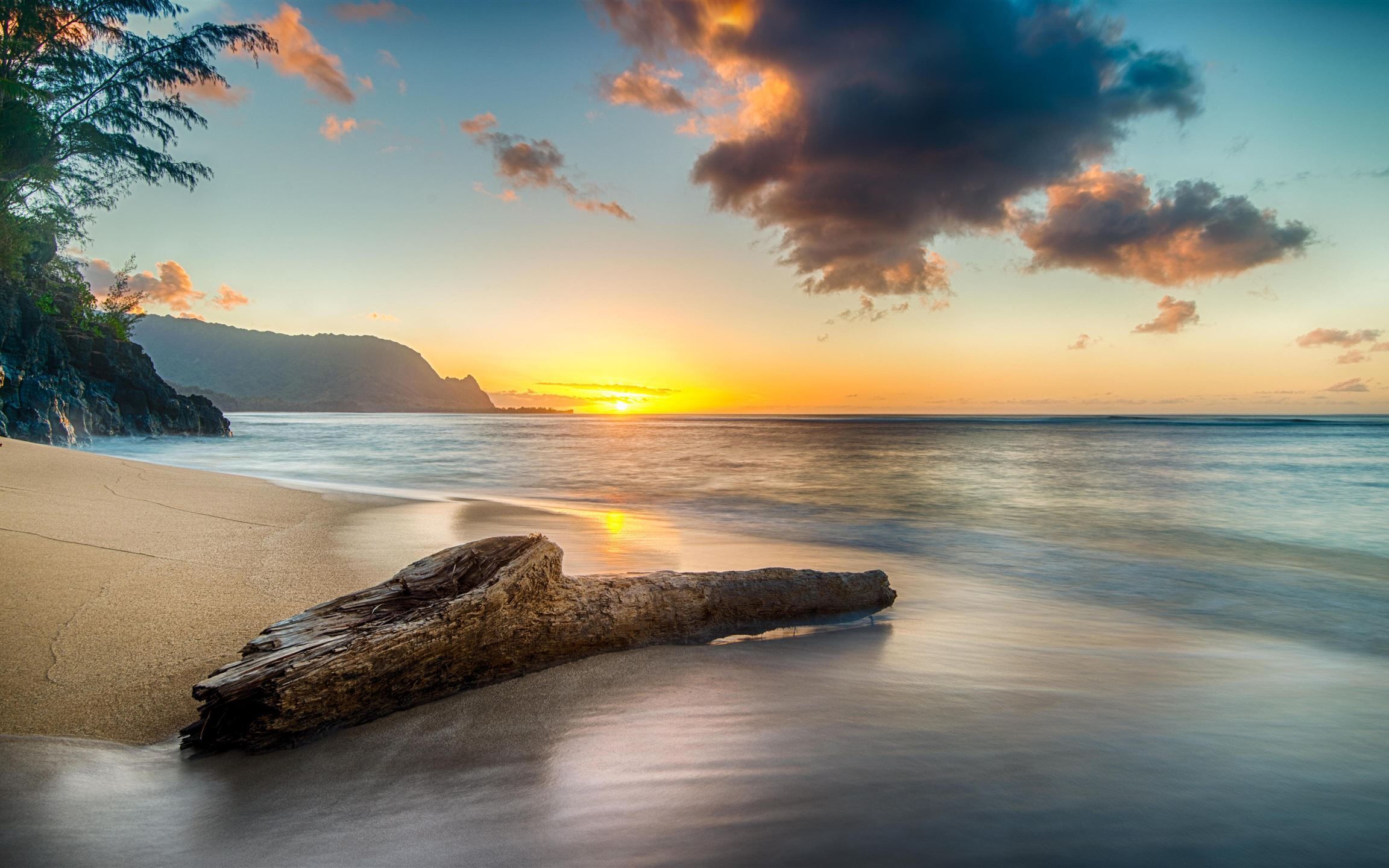 2304x1440 driftwood on beach at sunset on north shore of kau MacBook Air Wallpaper Download