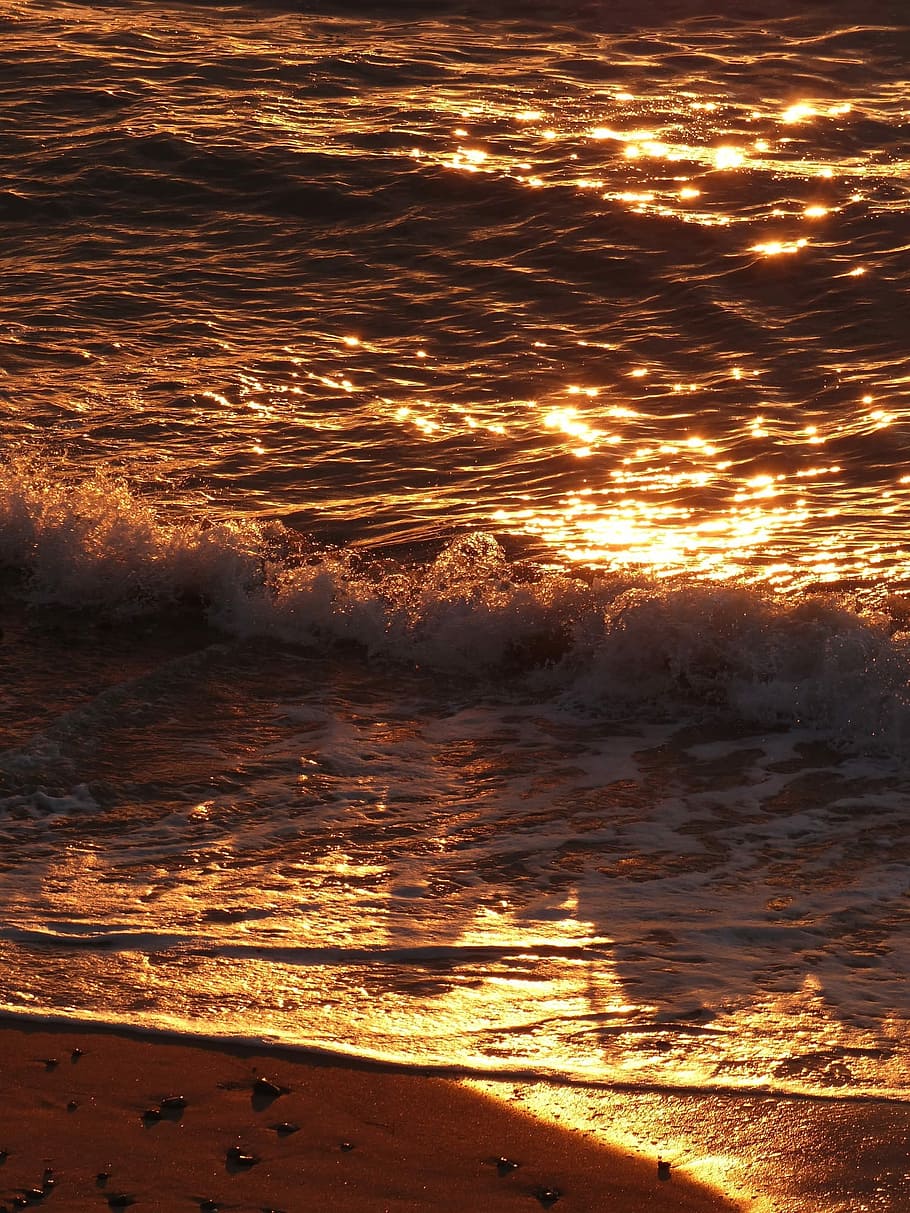 910x1213 HD wallpaper: Waves, Beach, Ocean, Sunlight, reflection, ripples, sunset