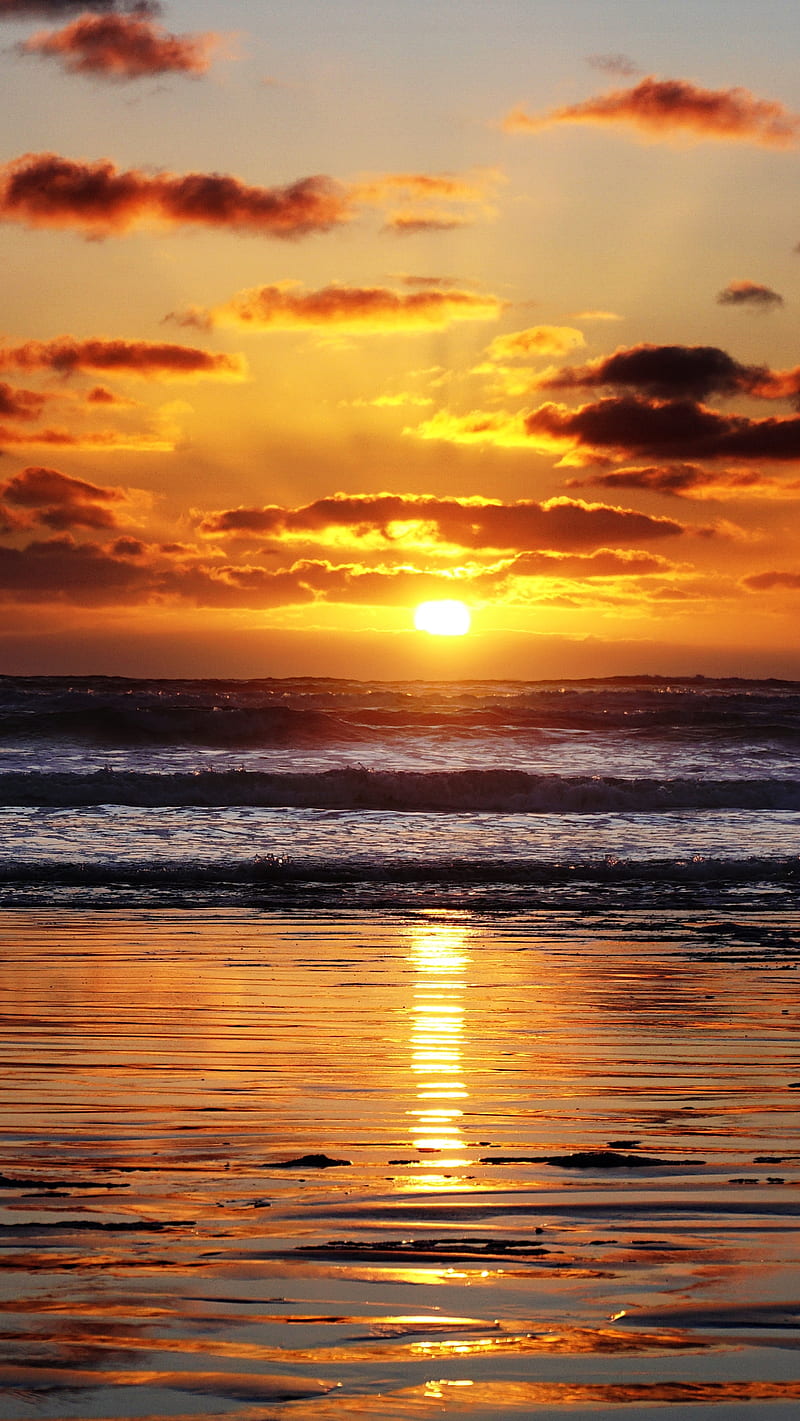 800x1421 1.Sunset, Sunsets, beach, evening, landscape, morning, seascape, sky, sun, sunrise, HD phone wallpaper