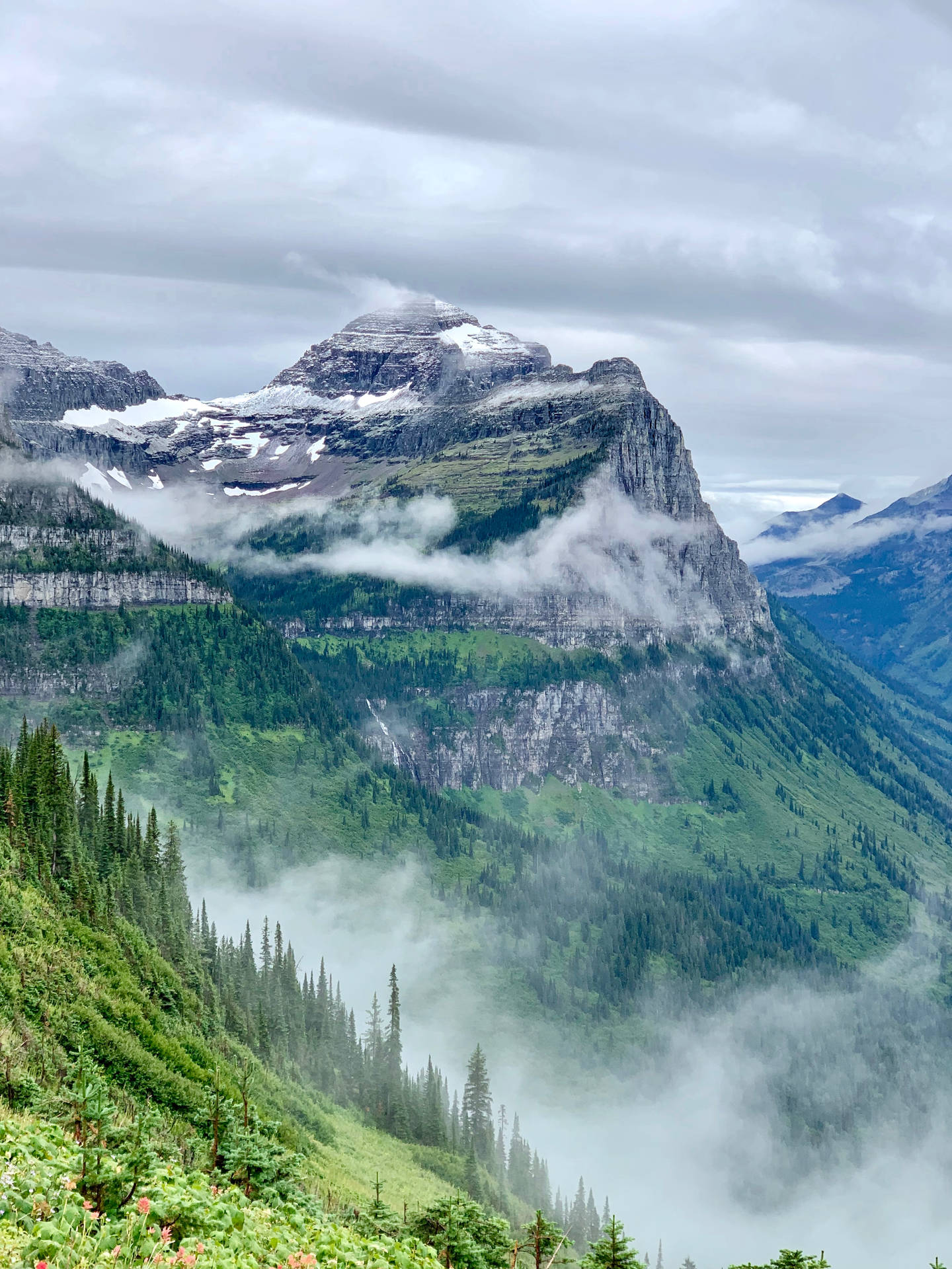 1440x1920 Montana iPhone Wallpaper