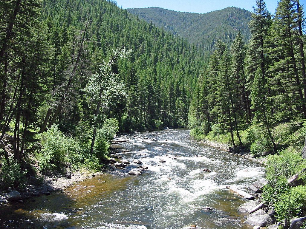 1024x768 Rock Creek in Montana. Detailed Fly Fishing & Floating Guide