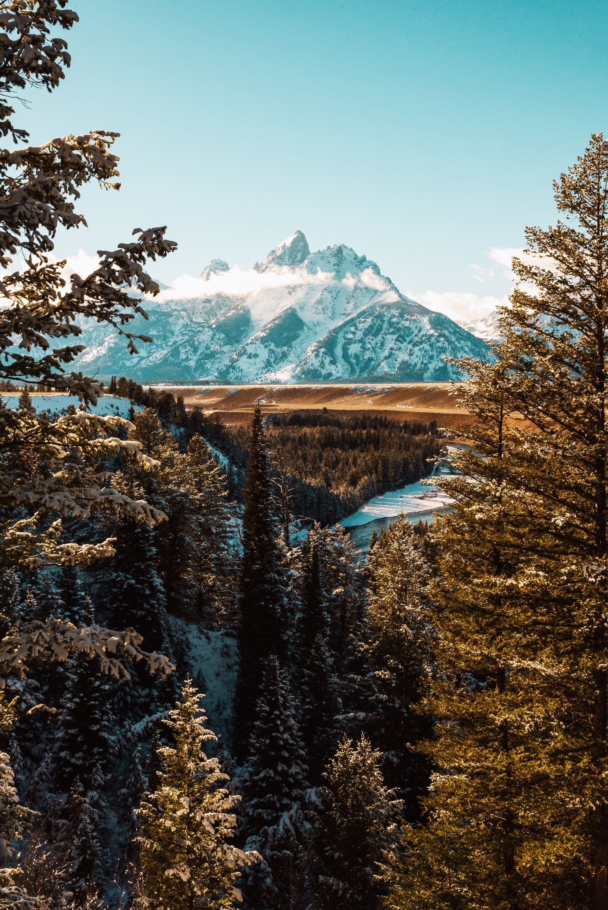 2000x2996 Montana iPhone Wallpaper