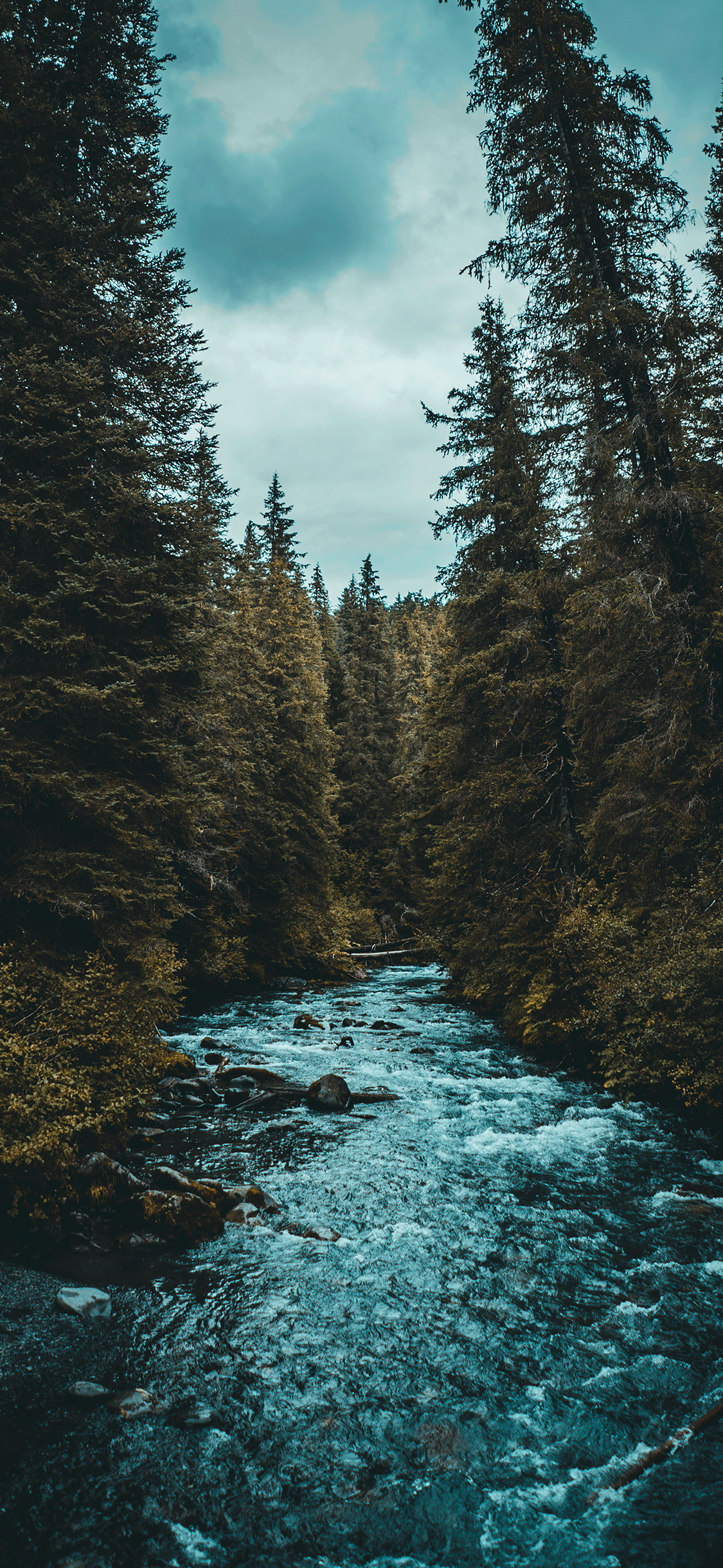 1125x2436 Montana iPhone Wallpaper