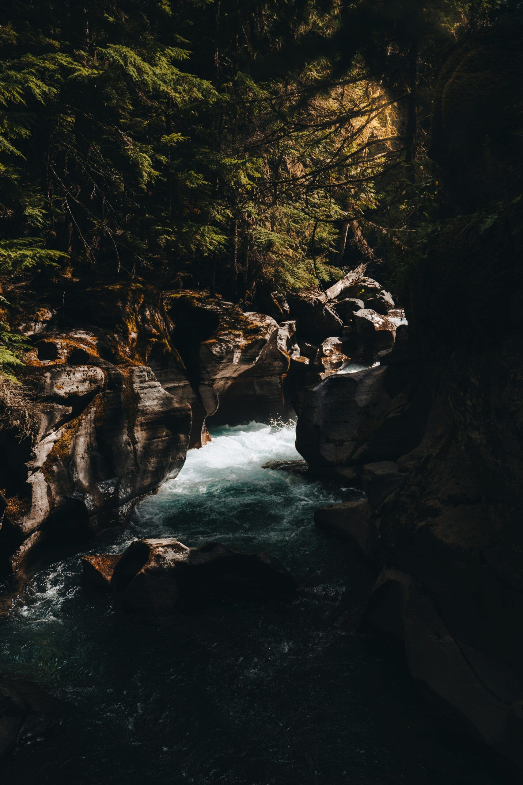 1707x2560 Experience Montana's Best River Floats