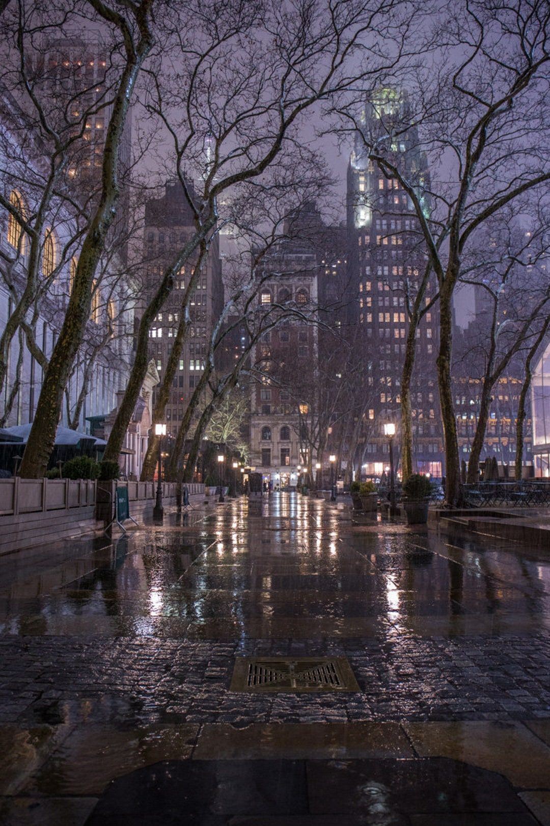1080x1620 Bryant Park During the Rain New York in the Fog York at Night York City Photography