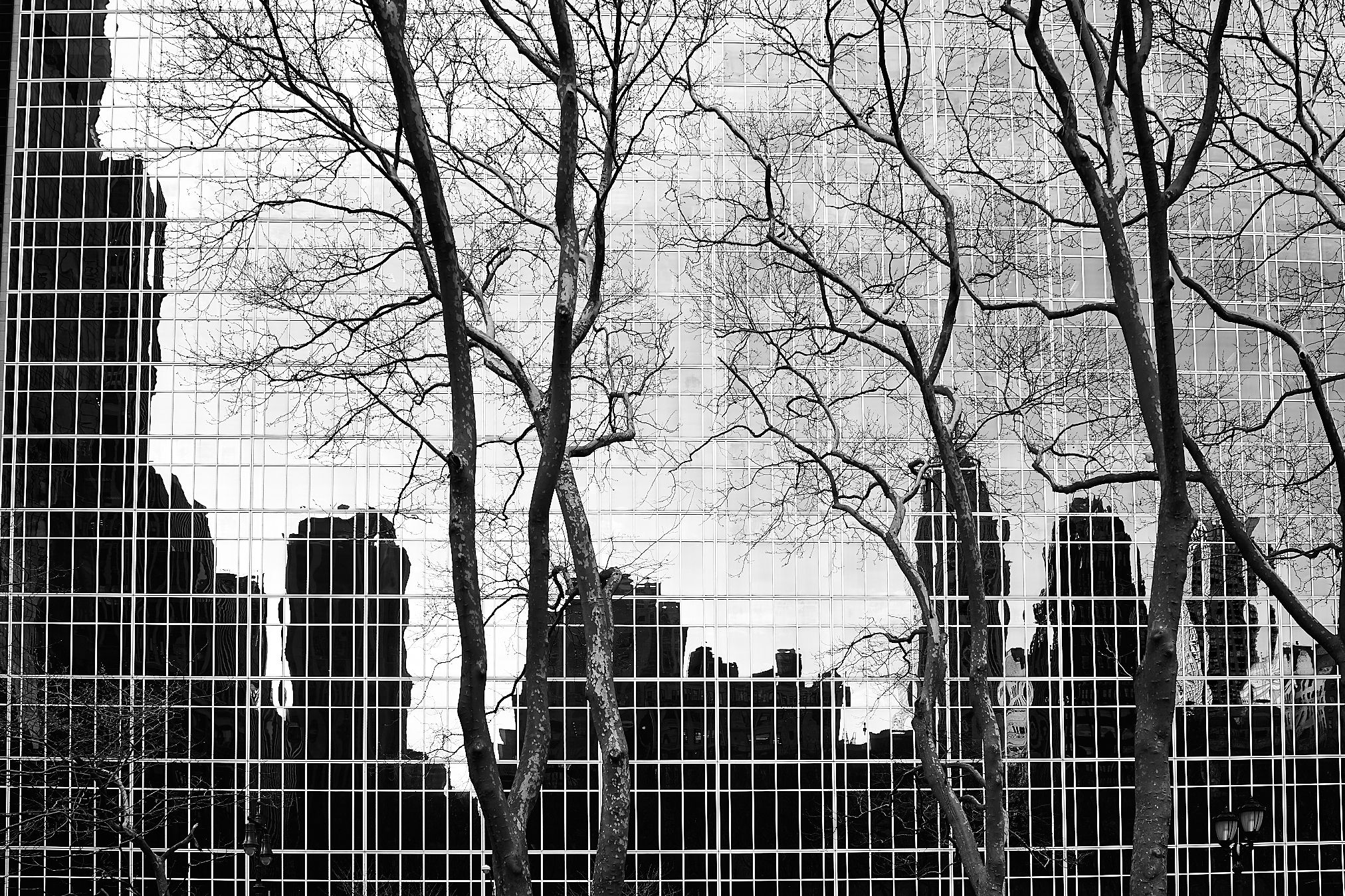 2024x1349 Bryant Park Reflections