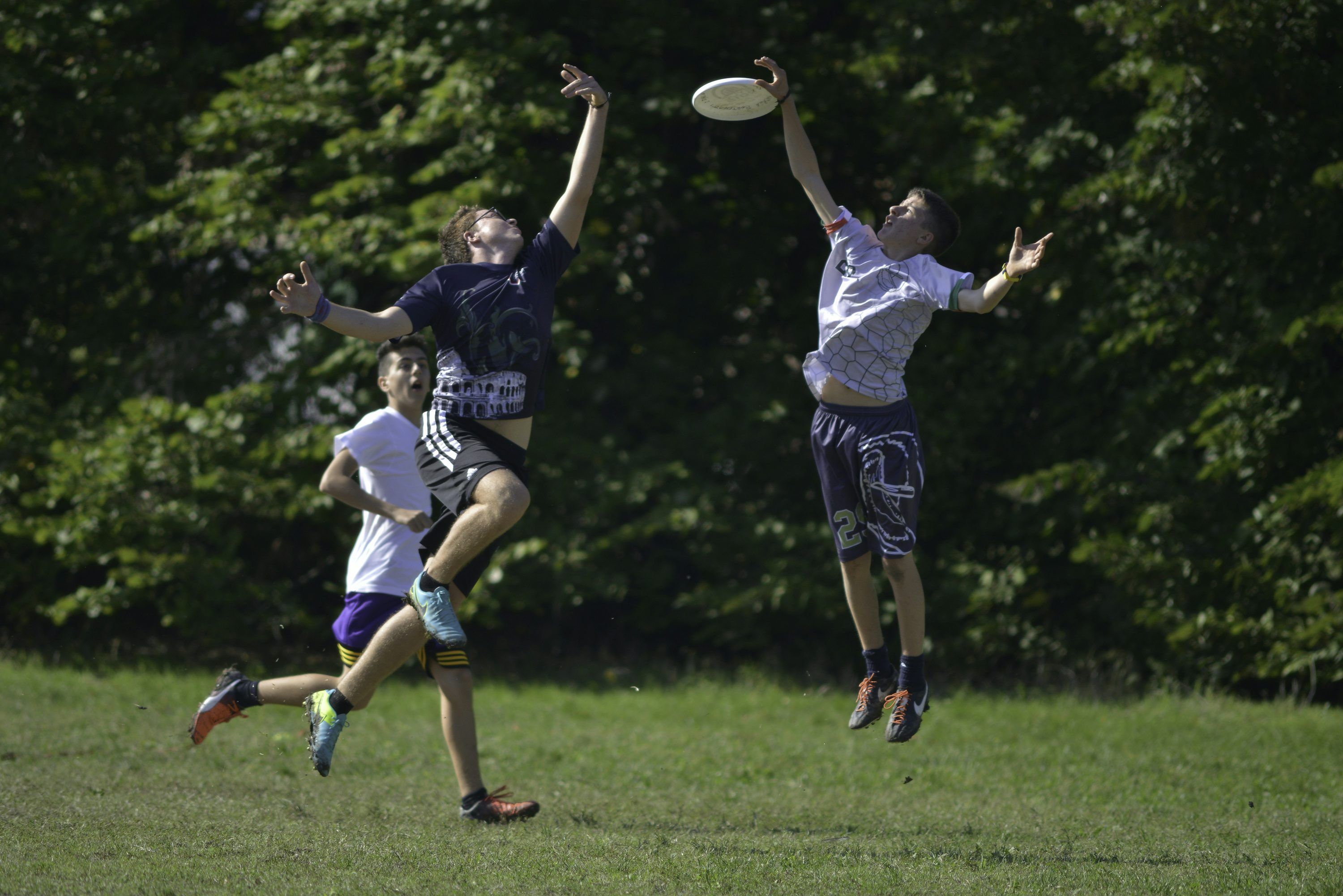 3000x2001 Ultimate Frisbee Picture. Download Free Image