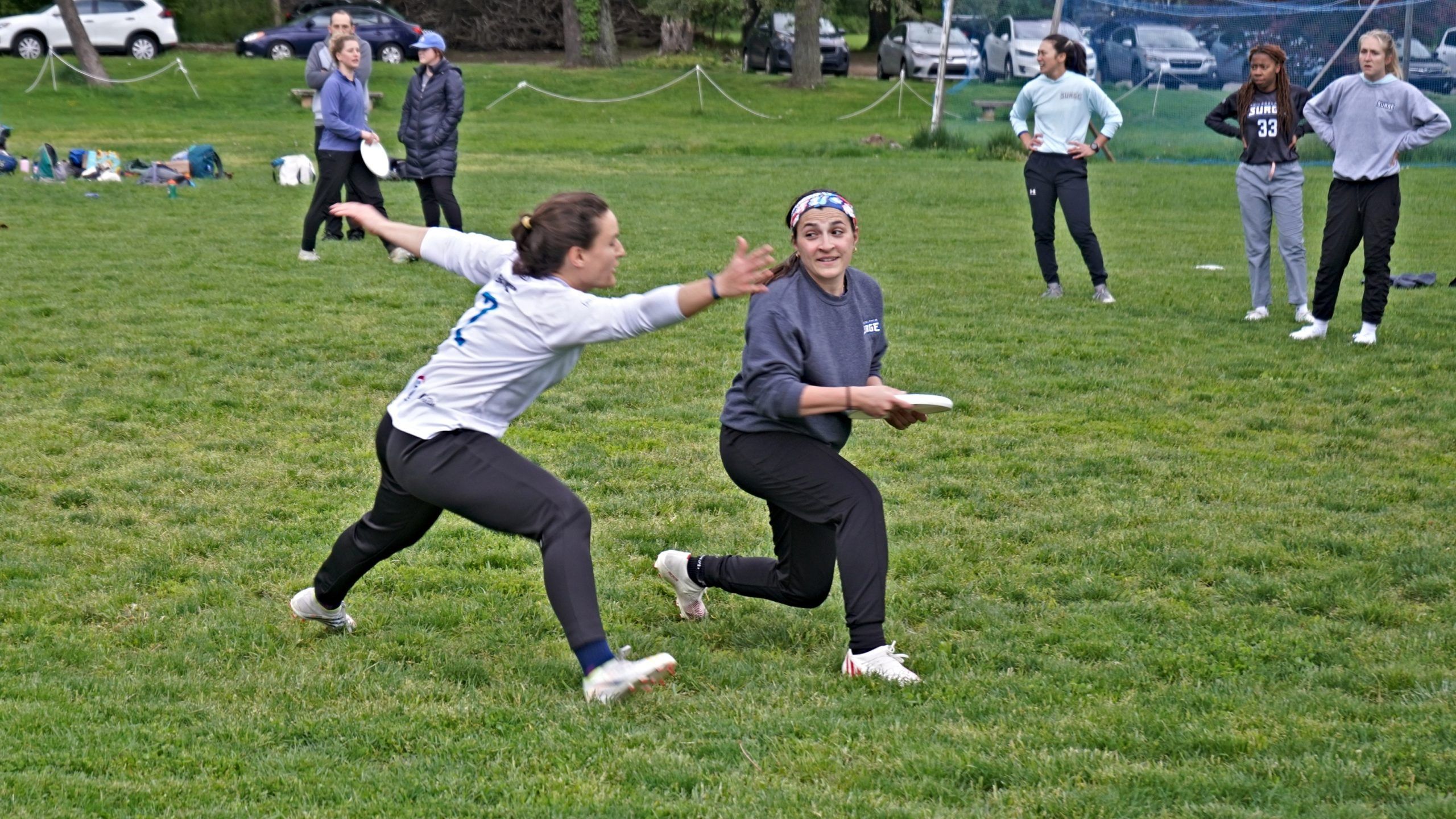 2560x1440 Philadelphia Surge: New women's ultimate team is undefeated