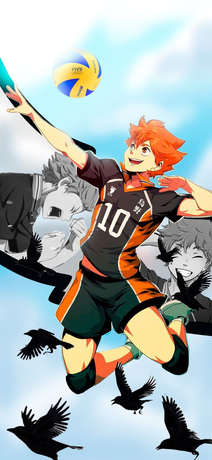736x1593 Hinata Shoyo Wallpaper