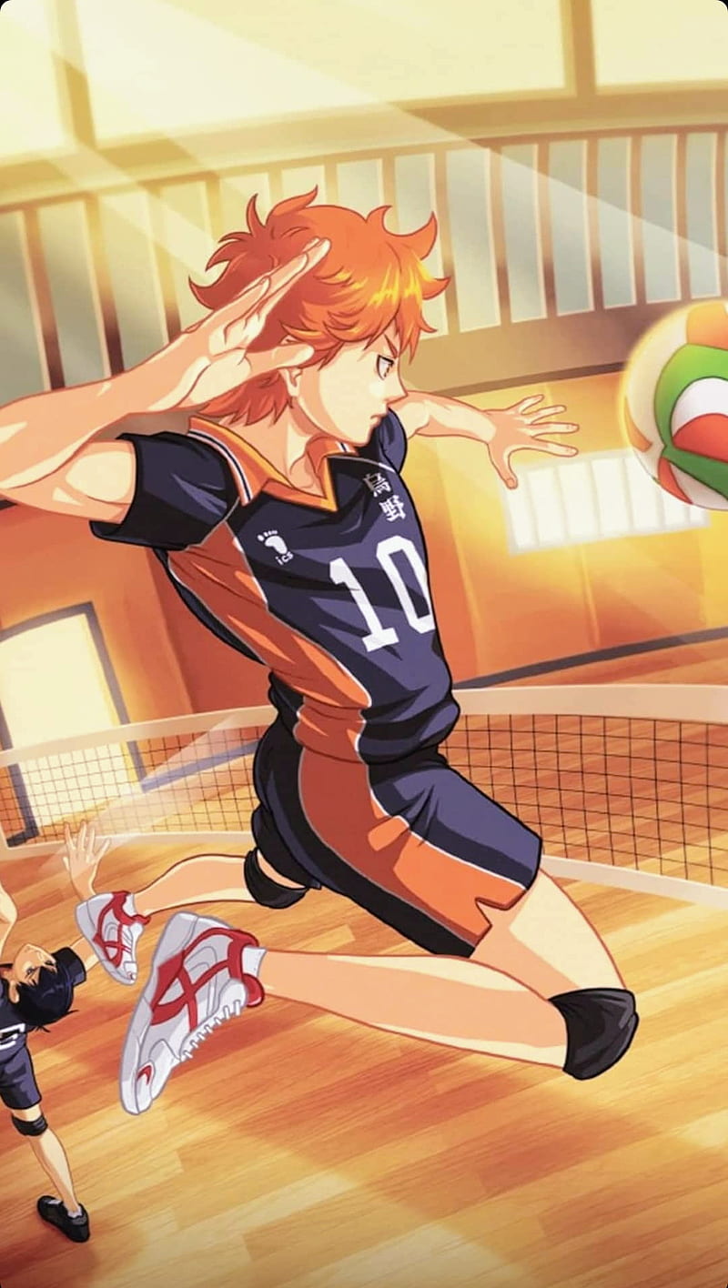 800x1416 Hinata, anime, haikyu, haikyuu, latest, popular, shouyo, sport, vollyball, HD phone wallpaper