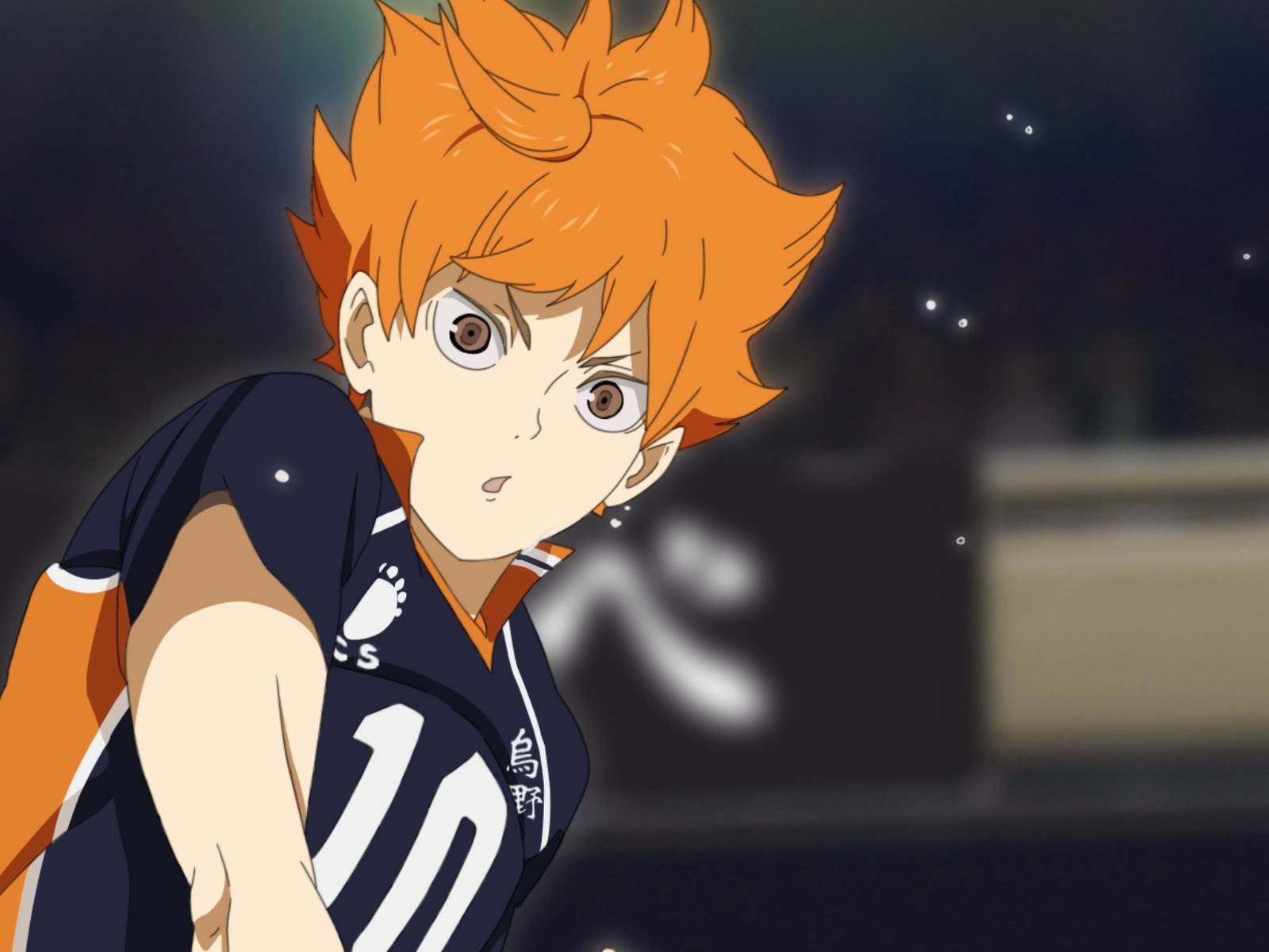 1600x1200 Haikyuu!!: How Real Athletes Use Hinata's Moves