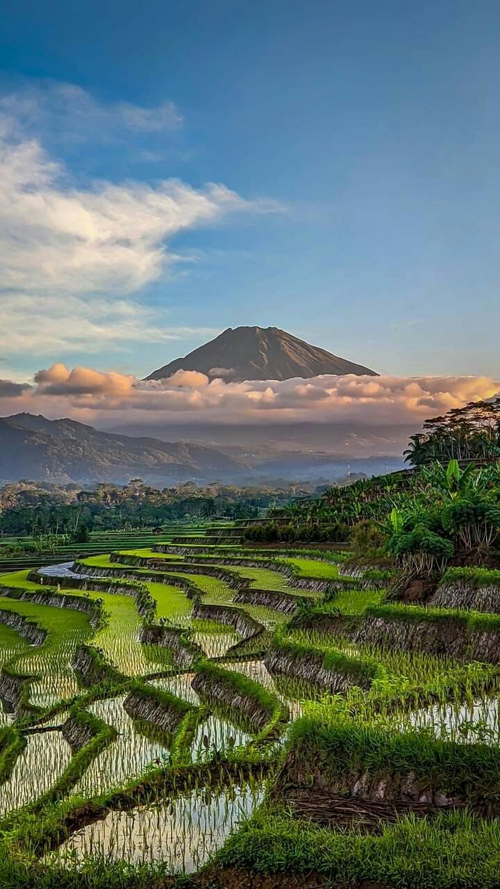 720x1279 Rekomendasi 7 Tempat Wisata di Magelang yang Lagi Hits dan Wajib Dikunjungi