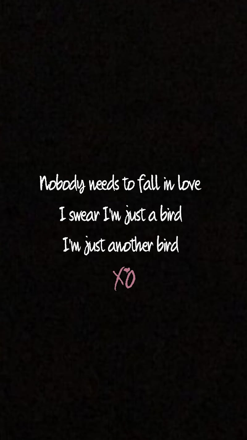 800x1422 The Weeknd Lyrics, the weeknd, HD phone wallpaper