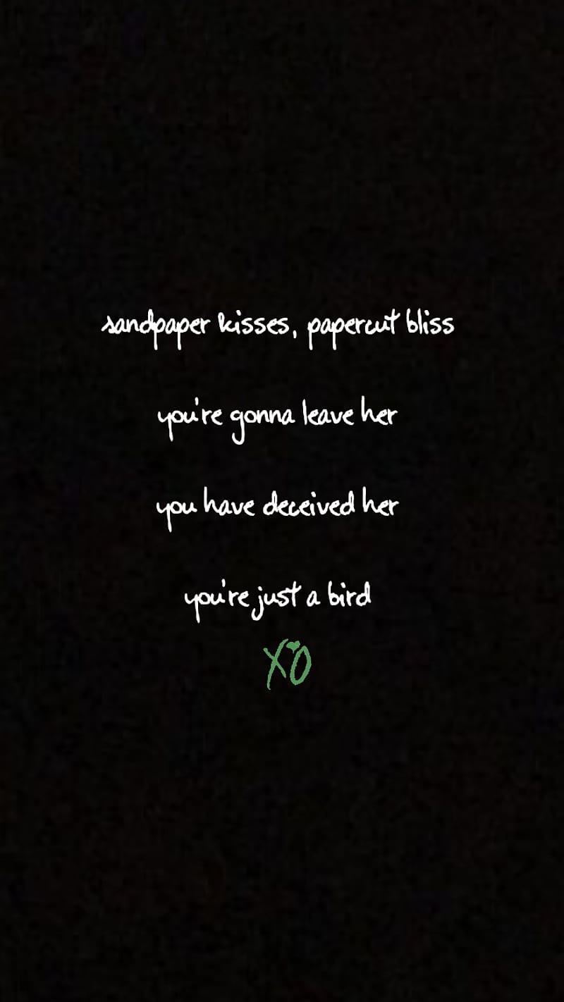 800x1422 The Weeknd Lyrics, the weeknd, HD phone wallpaper