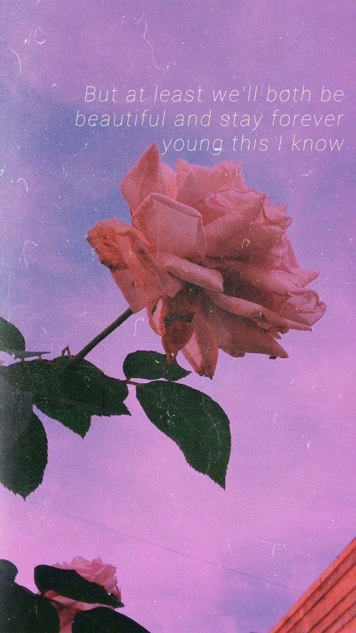 720x1280 The Weeknd lyrics locks