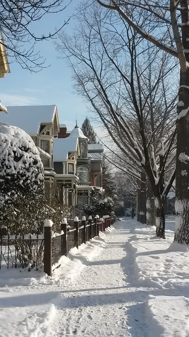 800x1422 Saint Paul winter, cold, minnesota, snow, sunshine, victorian houses, HD phone wallpaper