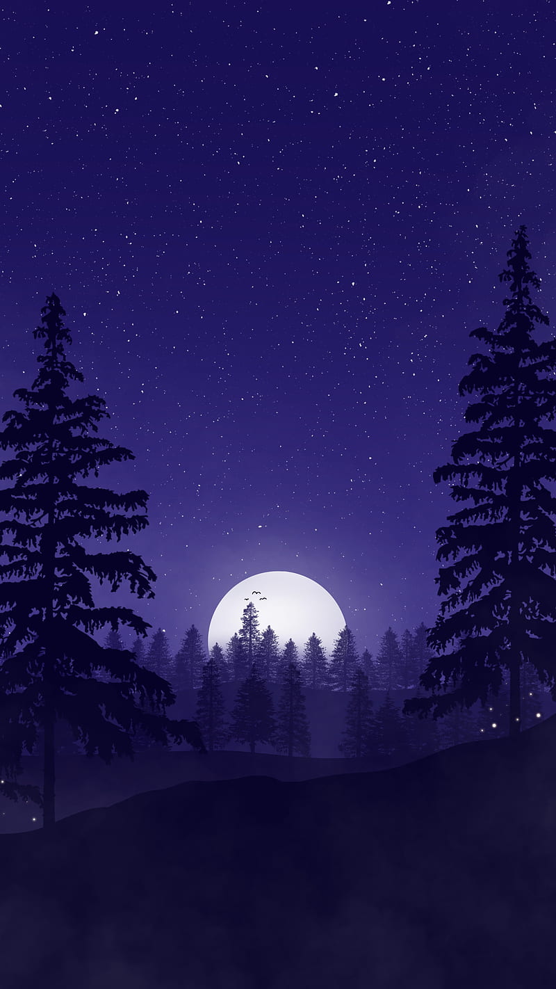 800x1422 HD colourful night sky wallpaper
