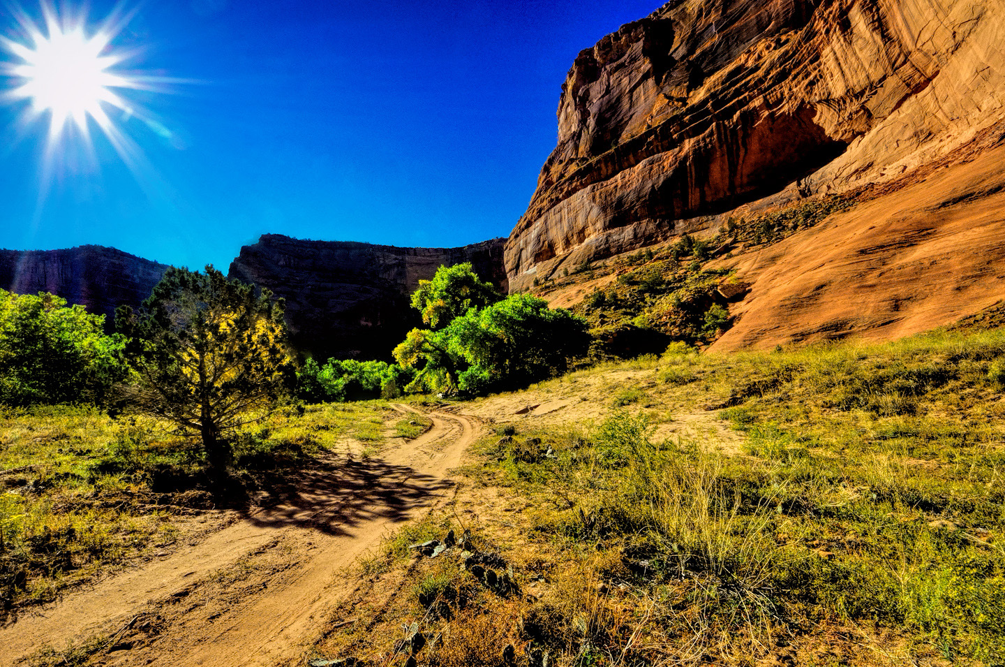 1440x955 Canyon de Chelly: Part 4: The Road to Spider Rock