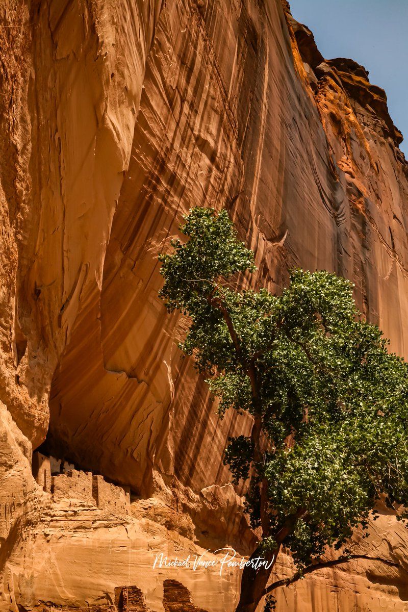 800x1200 Canyon De Chelly White House ruins. #whitehouse