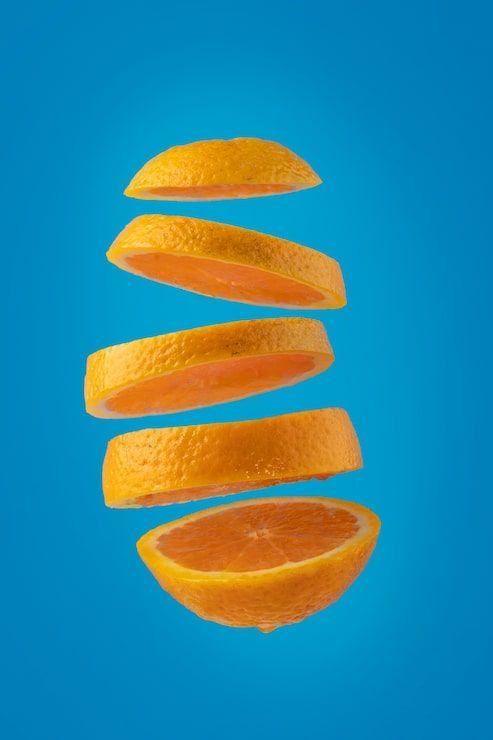 493x740 Fruit fly Image
