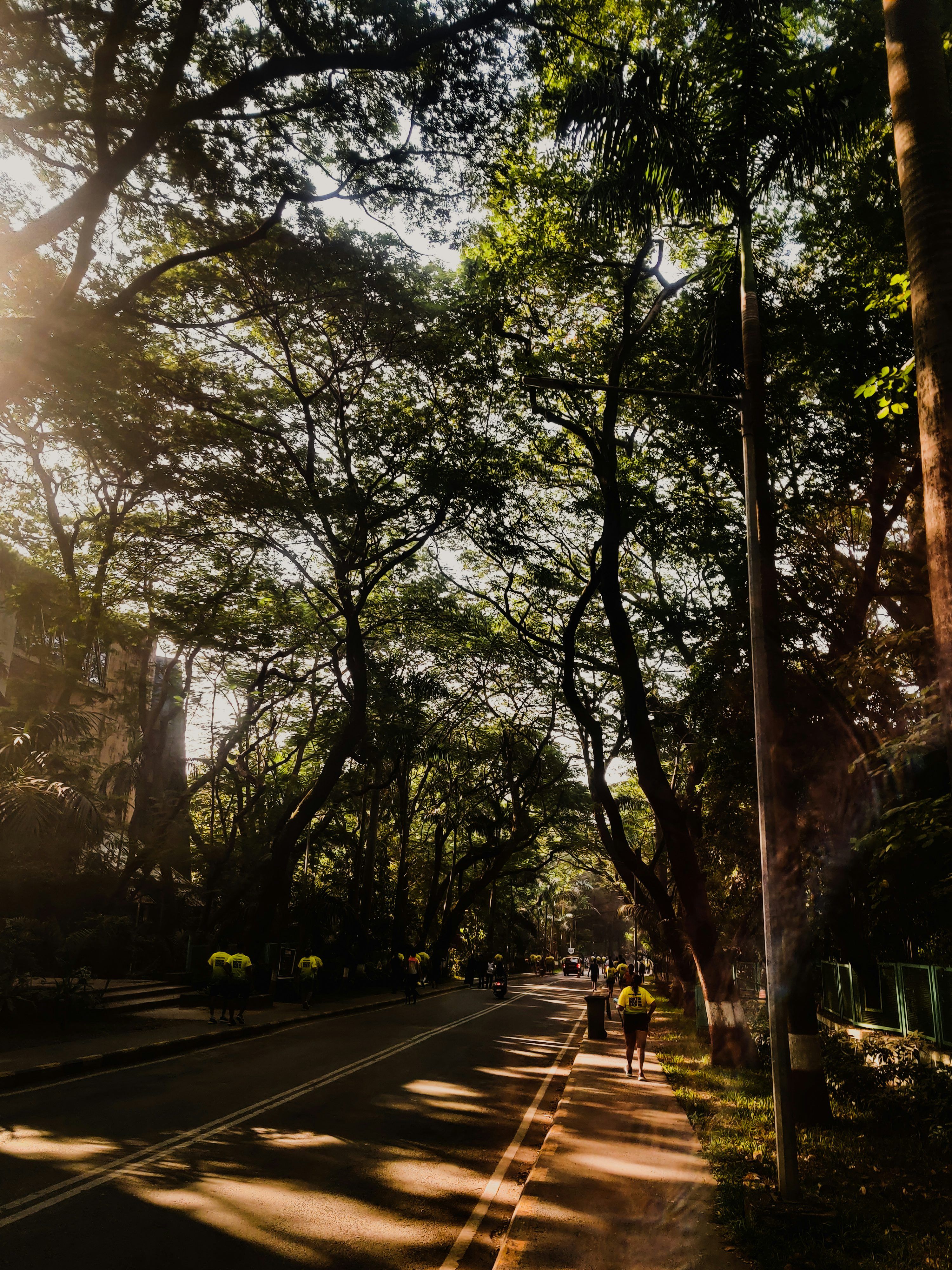 3000x4000 Iit Bombay Picture. Download Free Image