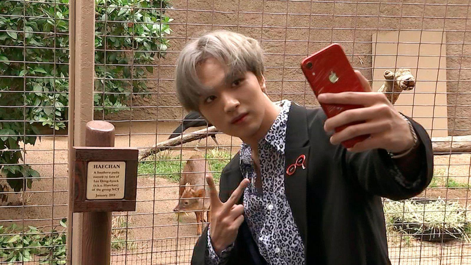 1600x900 Haechan Meets Haechan: K Pop Star Honored With Zoo Namesake