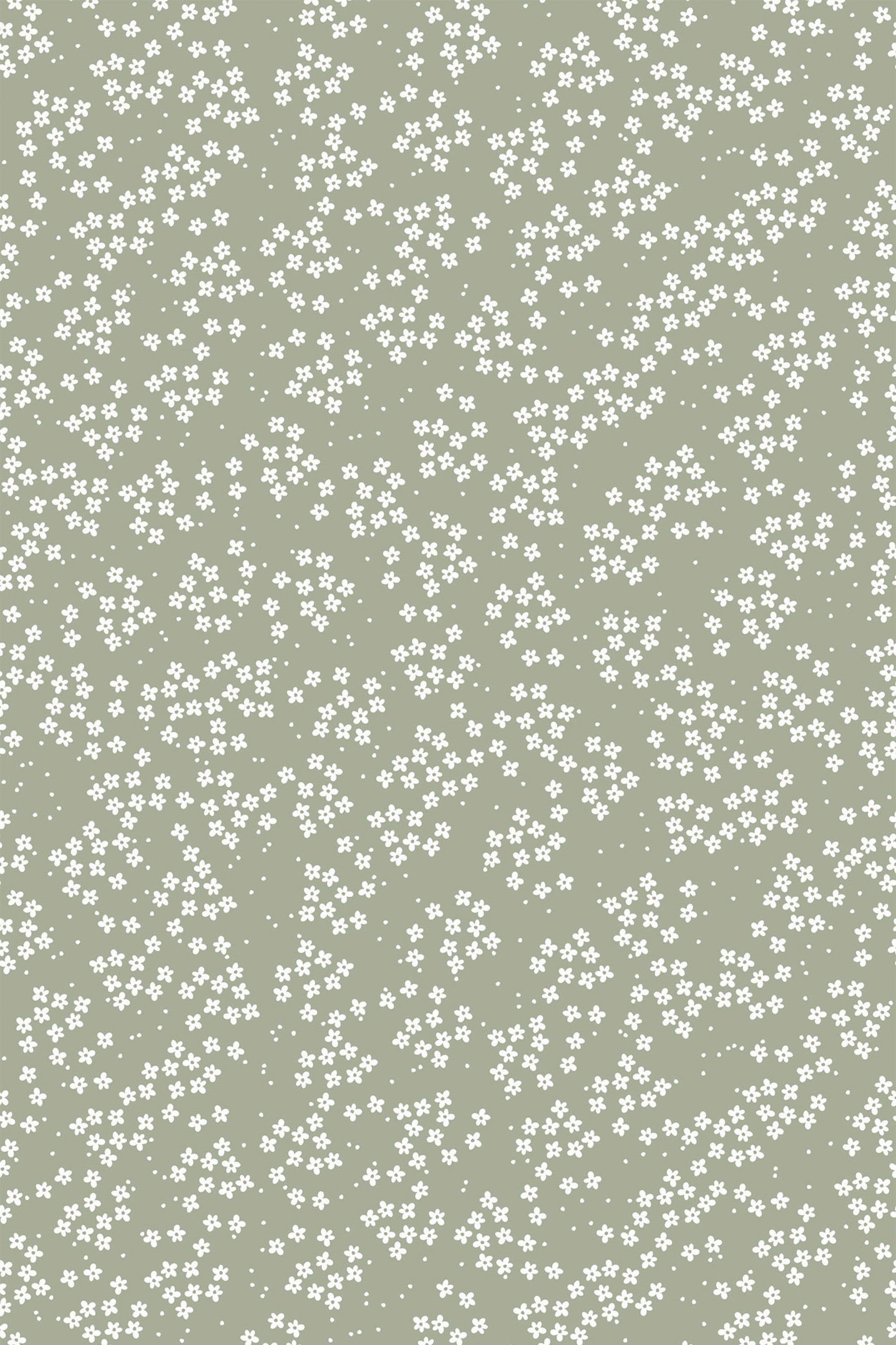 2000x3000 Polka dot wallpaper and Stick or Traditional