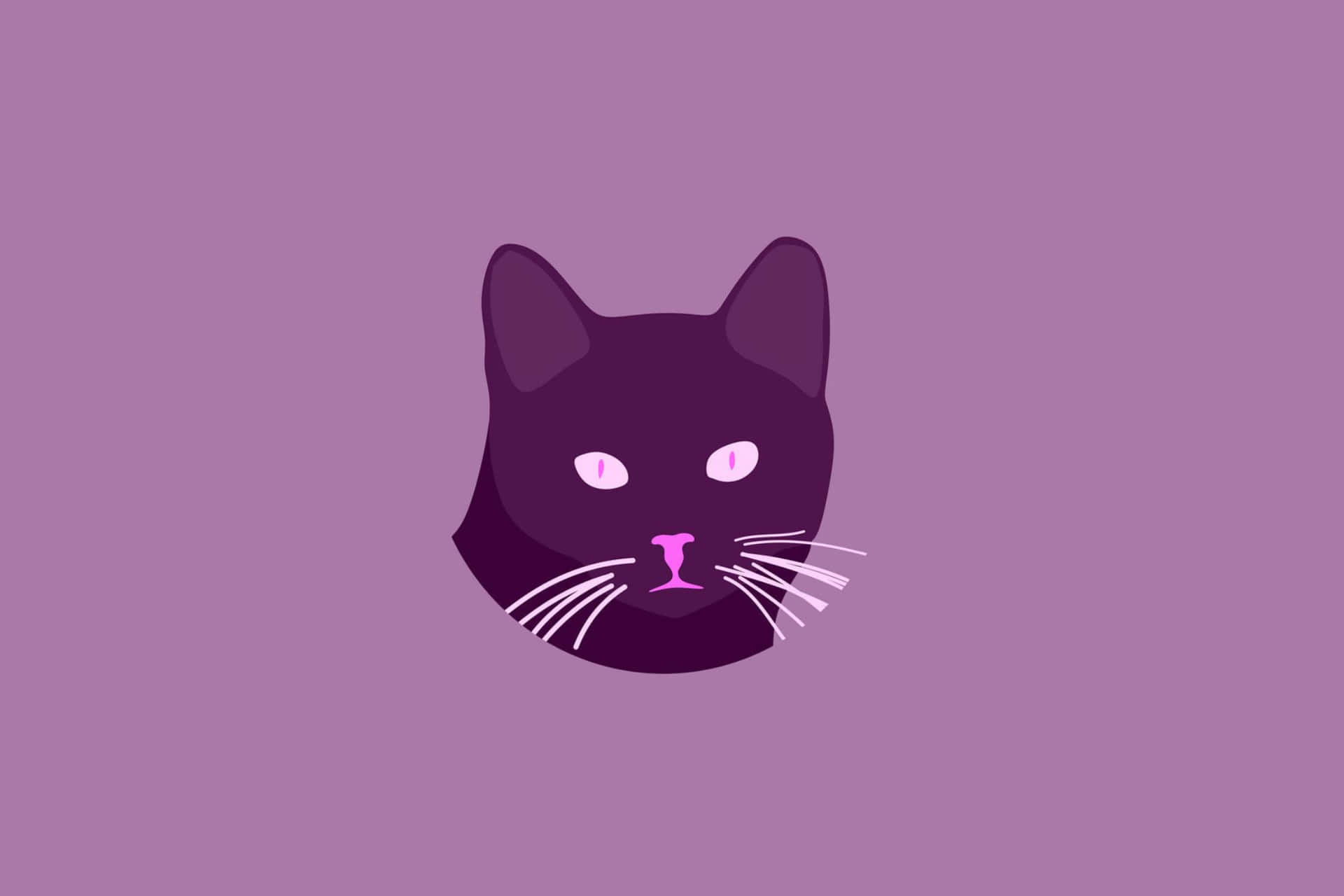 1920x1280 Purple Cat Wallpaper