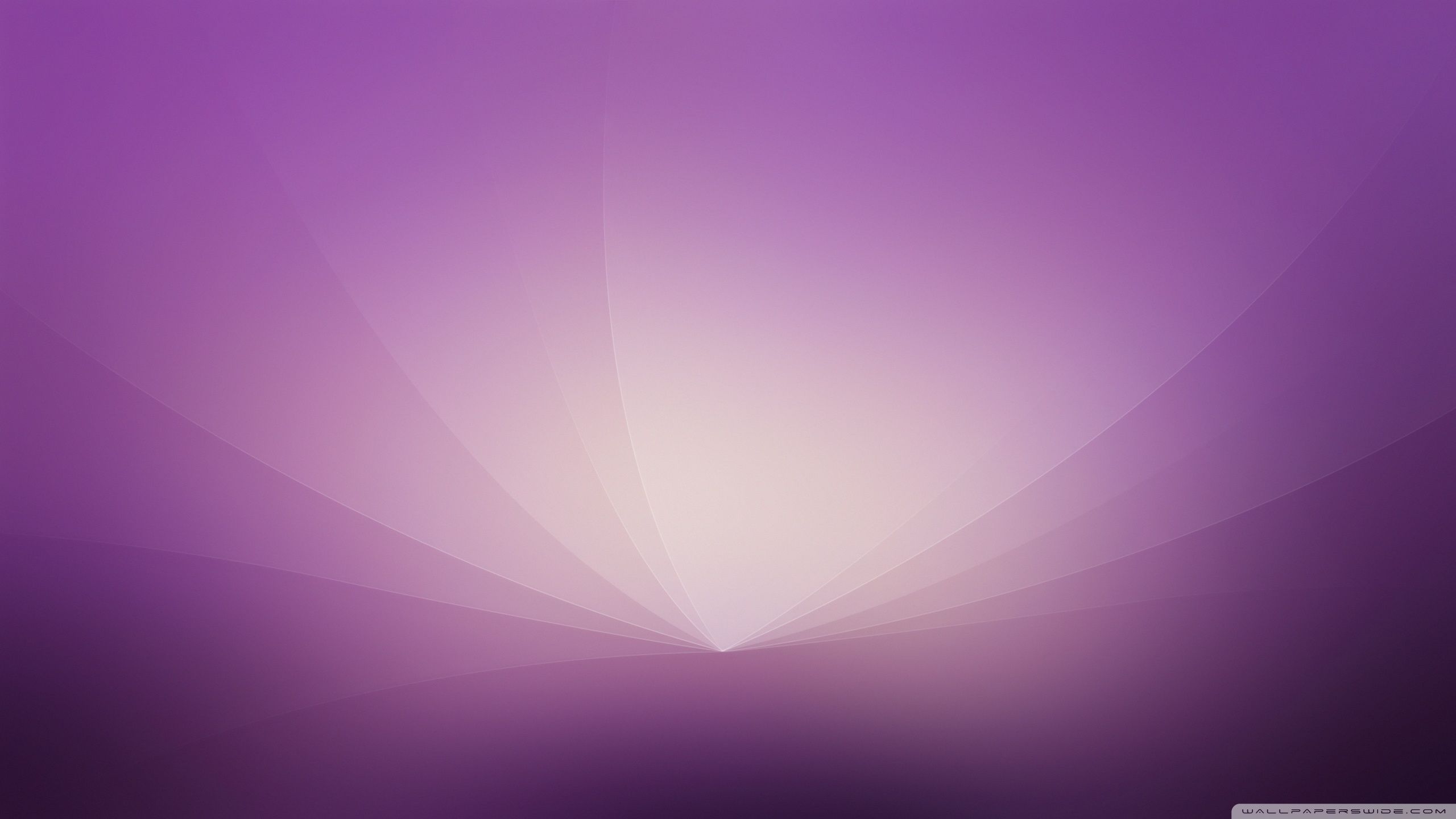 2560x1440 Abstract Graphic Design Purple 4K UHD Wallpaper for UltraHD Desktop and TV : Widescreen and UltraWide Display : Dual Monitor : Smartphone and Tablet Devices