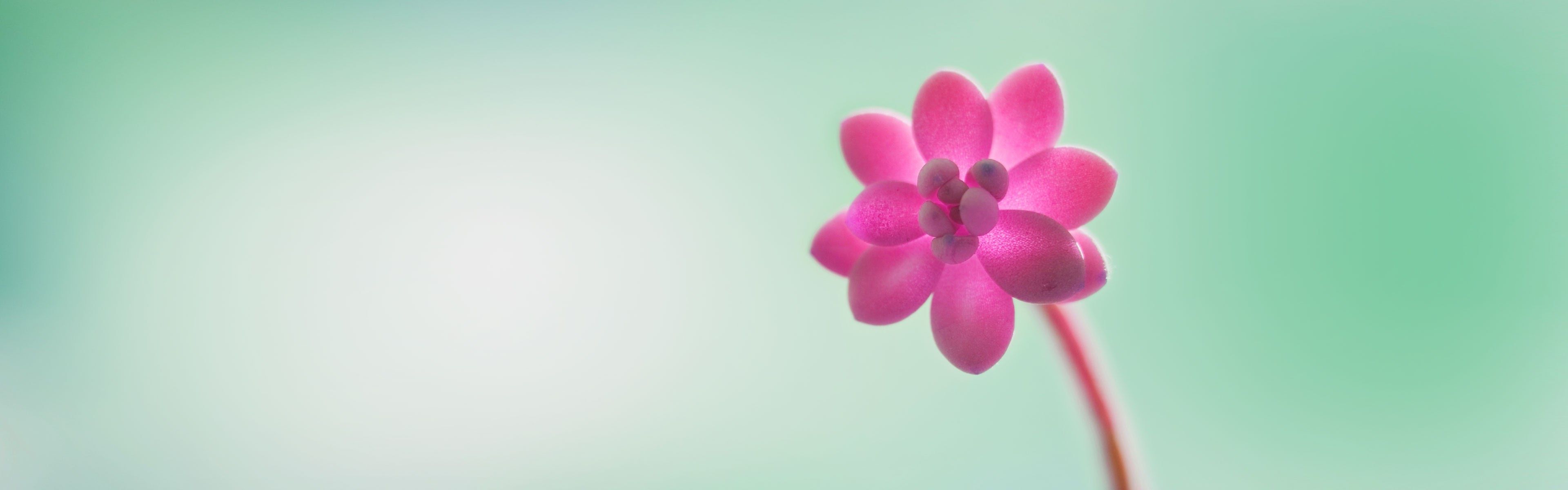 3840x1200 Wallpaper Windows, Windows Microsoft Windows, Windows Windows Background Free Image