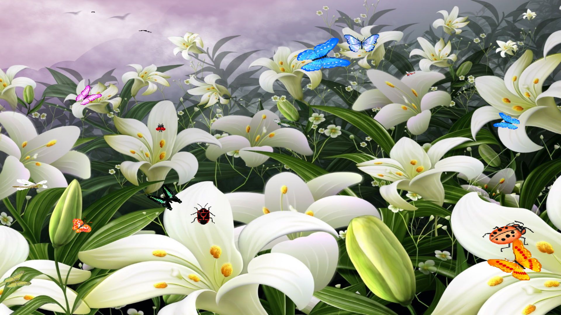 1920x1080 Free Flowers Screensaver for Windows 10 And Butterflies Screensaver