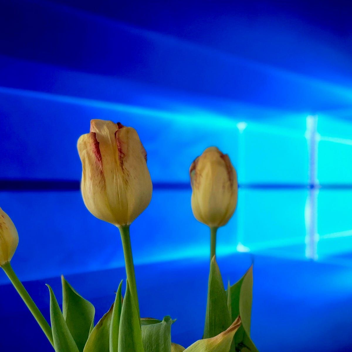 1200x1200 hidden features of Windows 10 April 2018 Update