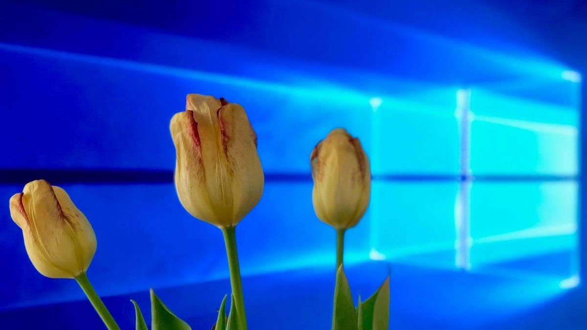 1200x675 hidden features of Windows 10 April 2018 Update