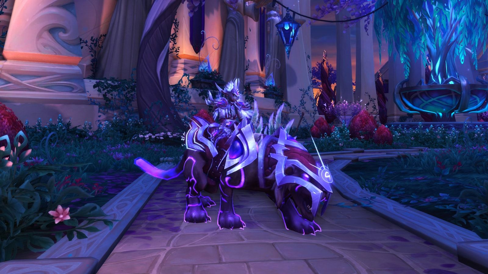 1600x900 Nightborne Allied Race Guide