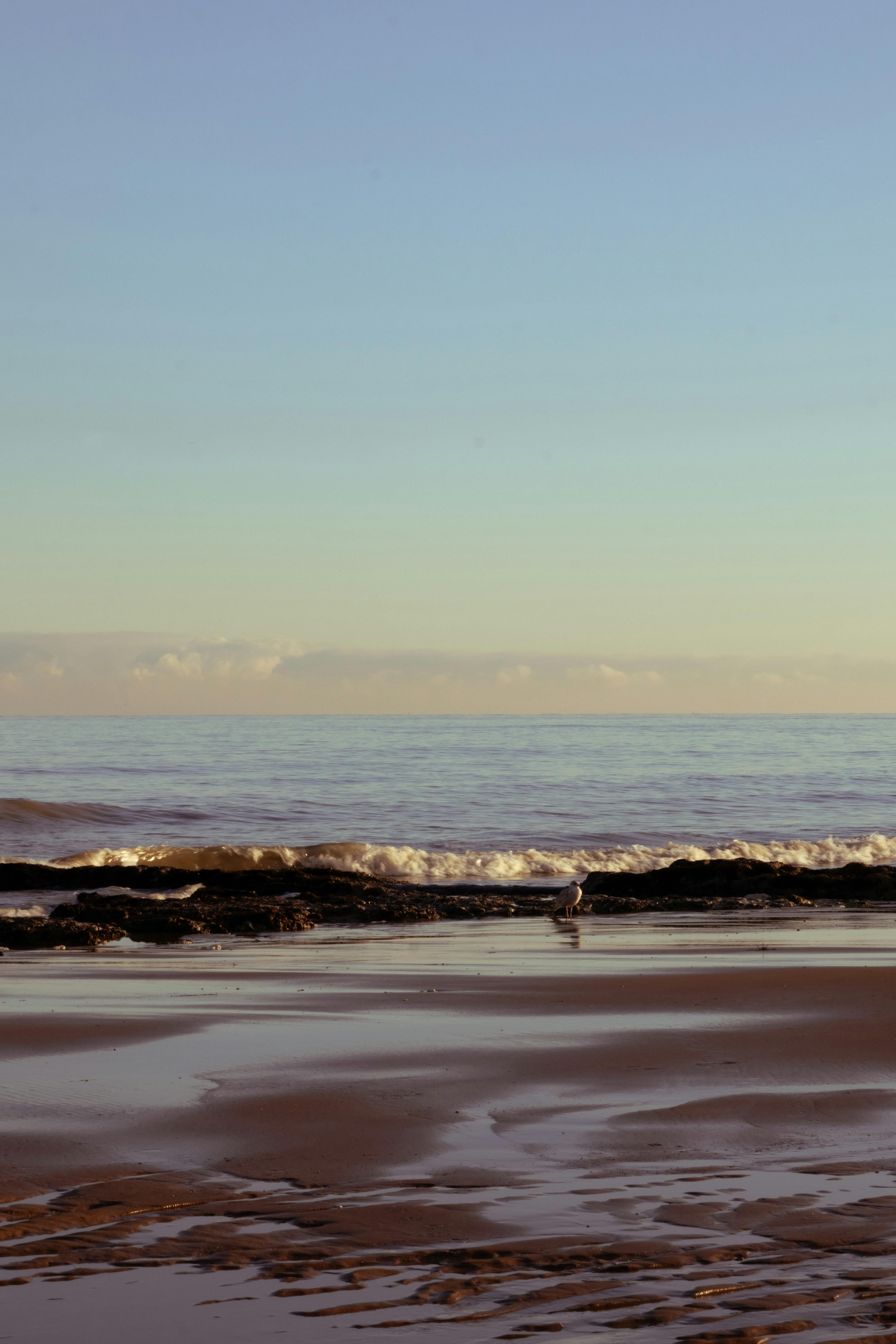 4000x6000 Morning On The Beach Photo, Download The BEST Free Morning On The Beach & HD Image