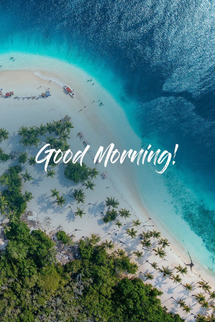 736x1104 Good Morning Beach Wallpaper Background