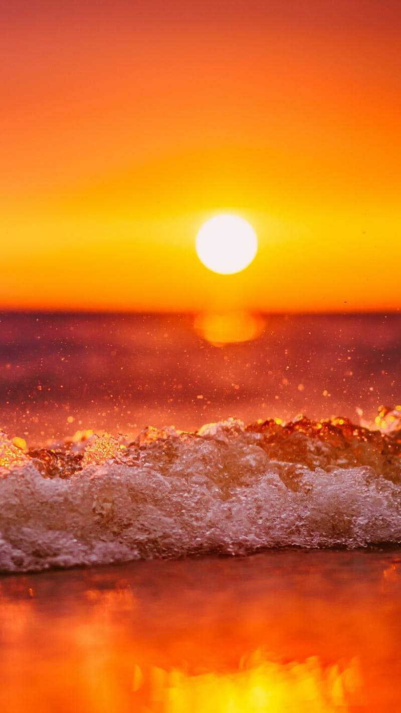 800x1423 Sunset, beach, nature, sea, sun, sunrise, HD phone wallpaper