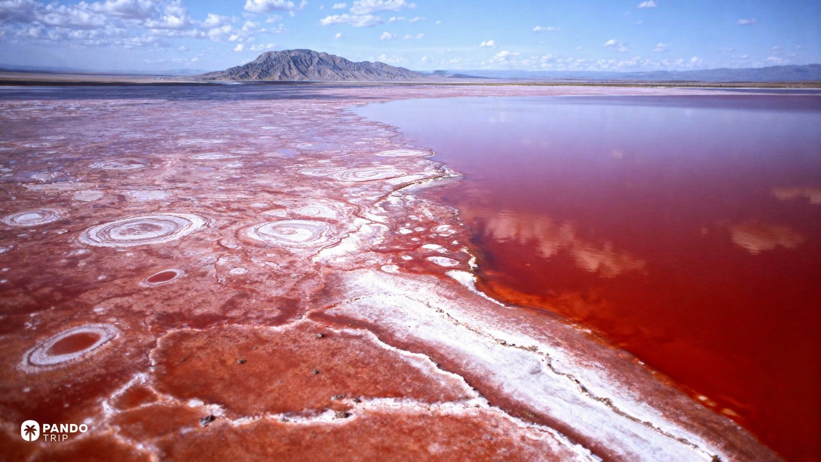 1600x900 Lake Natron: The World's Most Dangerous Red Lake (Plus Other Crimson Waters)
