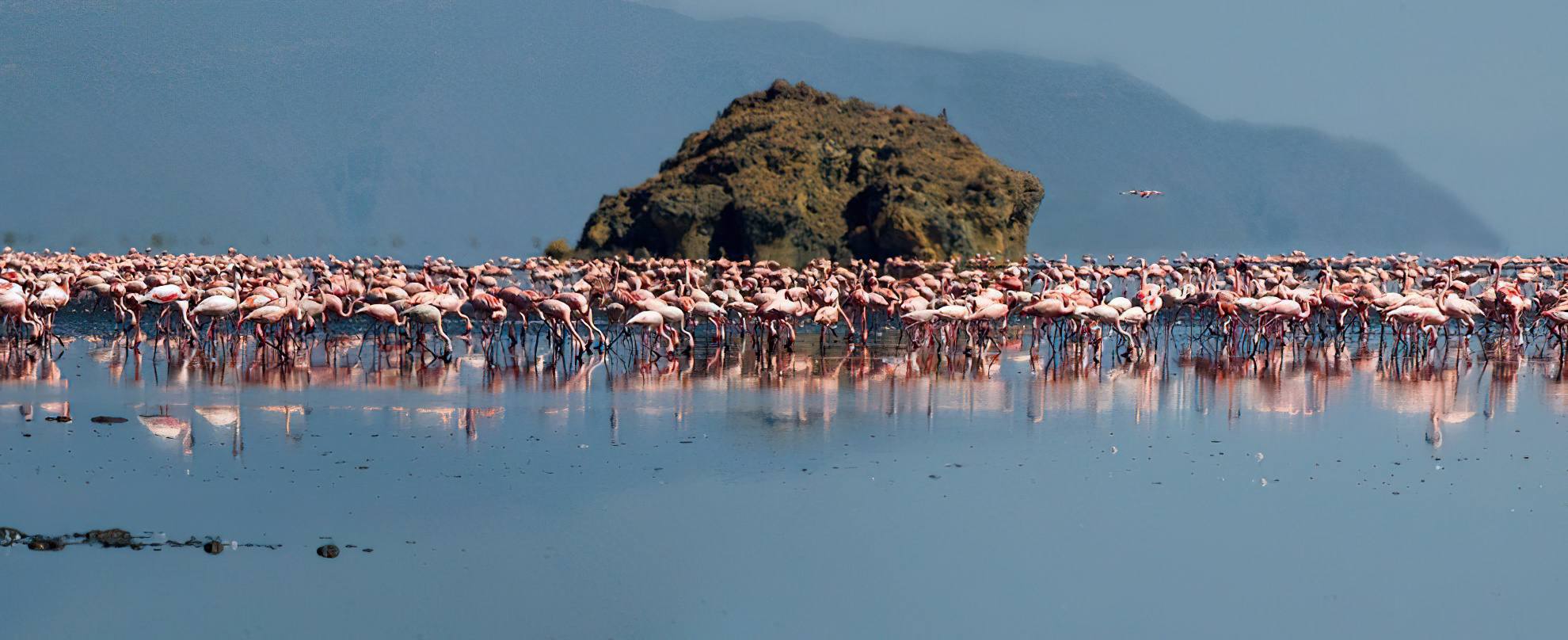 1980x808 Lake Natron