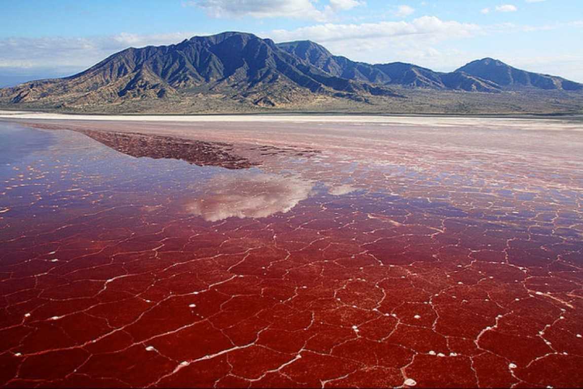 1150x768 Lake Natron Guide
