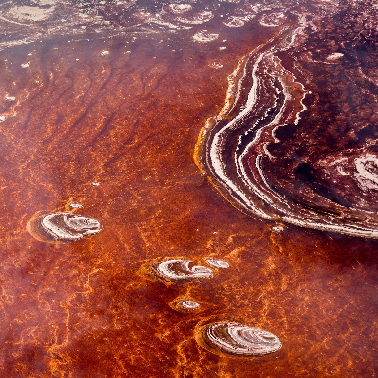 1600x1600 Lake Natron: Tanzania's beautiful and deadly red lake