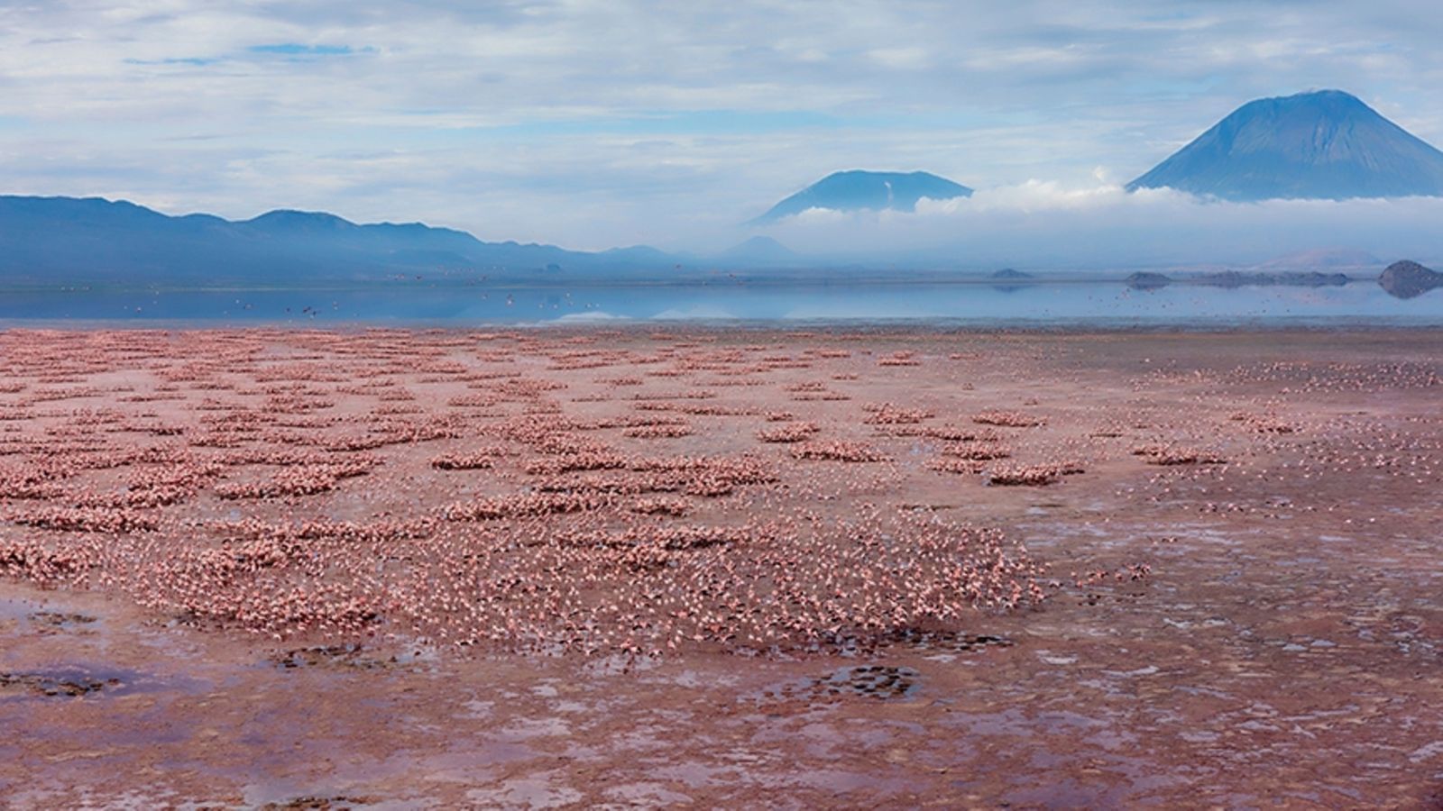 1600x900 Lake Natron: Myths, flamingos and hidden tourism treasures