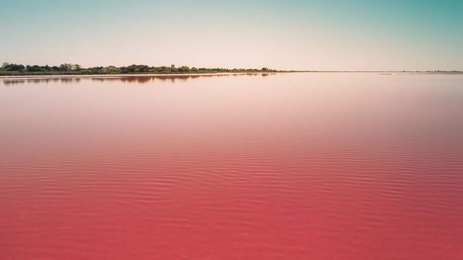 1920x1080 Lake Natron: All about the red lake of Tanzania