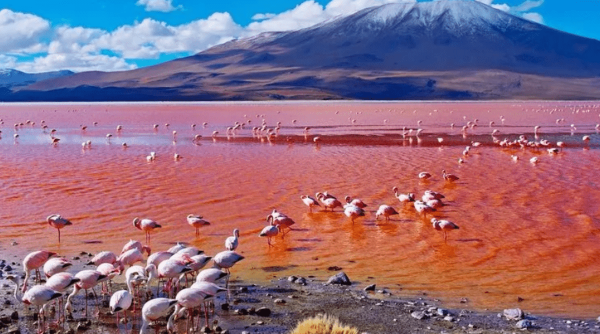 1200x669 Lake Natron Africas Mysterious Alkaline Wonderland