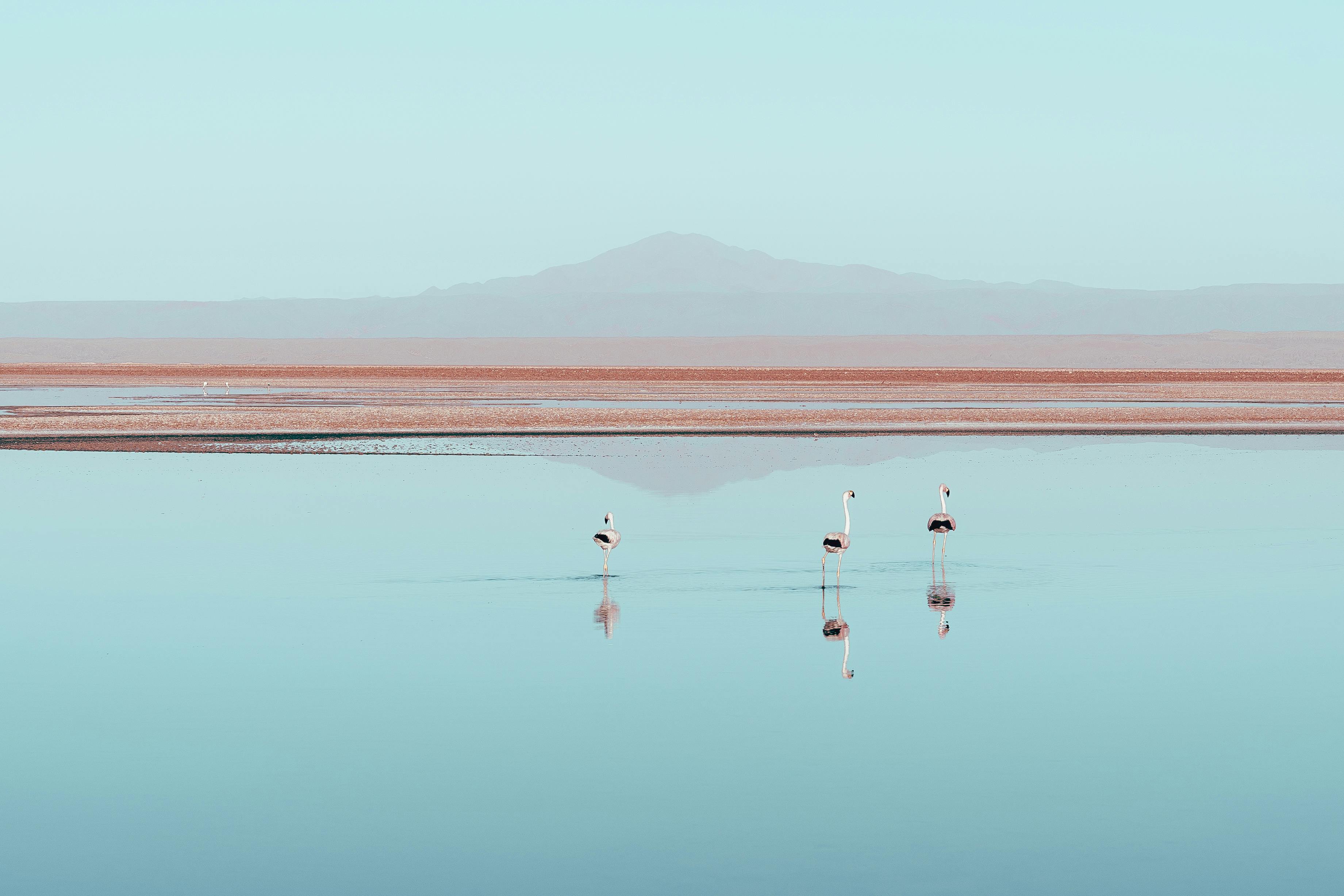 3682x2455 Lake Natron Photo, Download The BEST Free Lake Natron & HD Image
