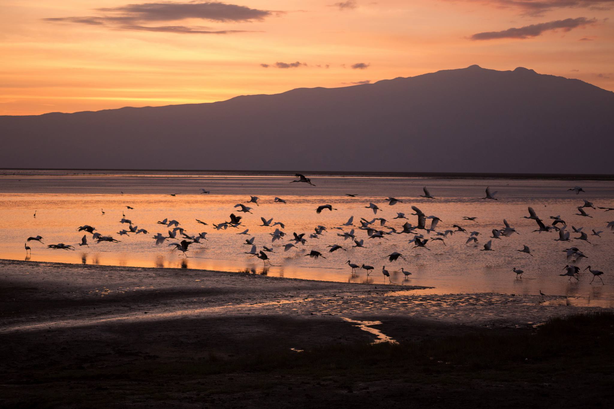 2048x1365 Lake Natron