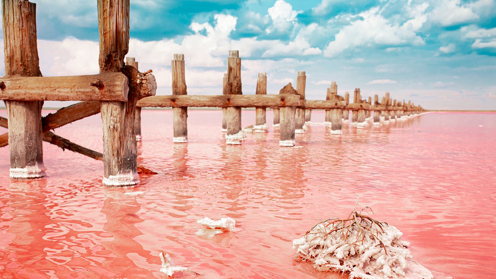 1600x900 Lake Natron: Where Impossibly Salty Water Matches Flamingos