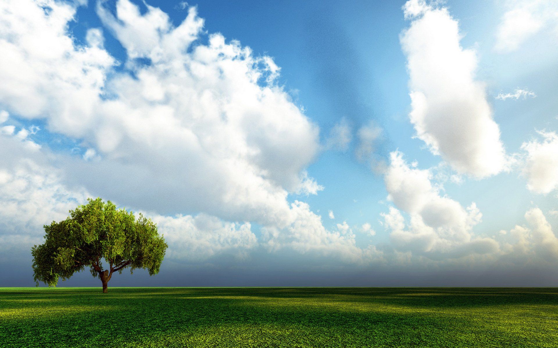 1920x1200 Lonely Tree in Nature: Serene HD Wallpaper for Tranquil Spacesx1200