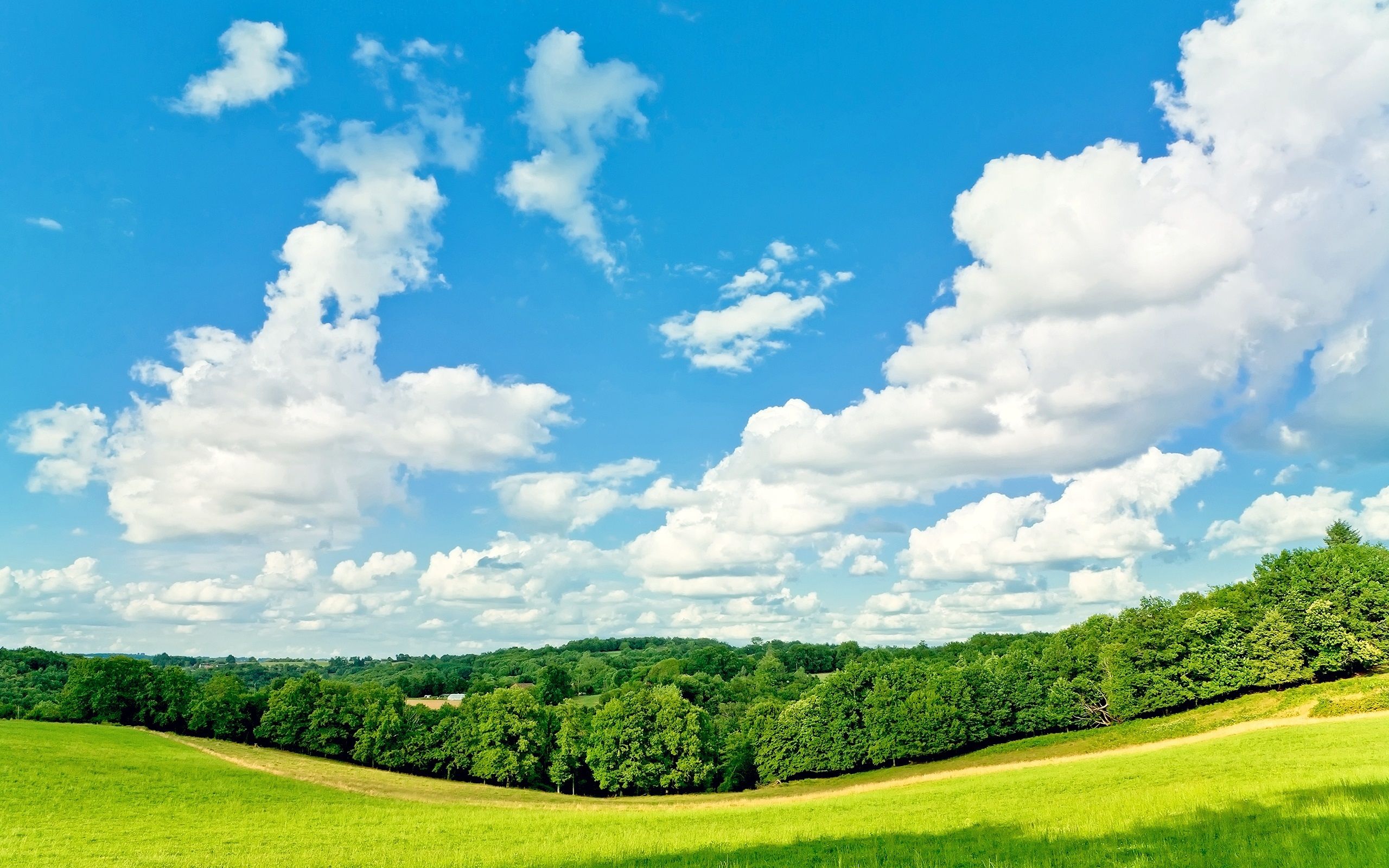 2560x1600 Wallpaper Trees, grass, blue sky, white clouds, summer 2560x1600 Picture, Image